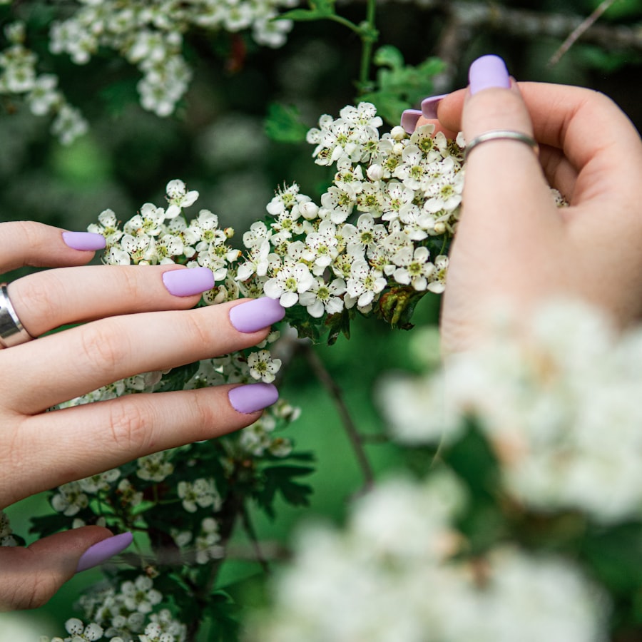 Lilac nails brushing a cluster of white spring blossom