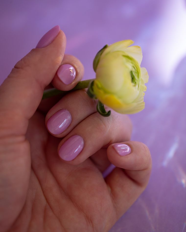 A hand with glossy pink gel nails holding a yellow ranunculus against a lilac backdrop